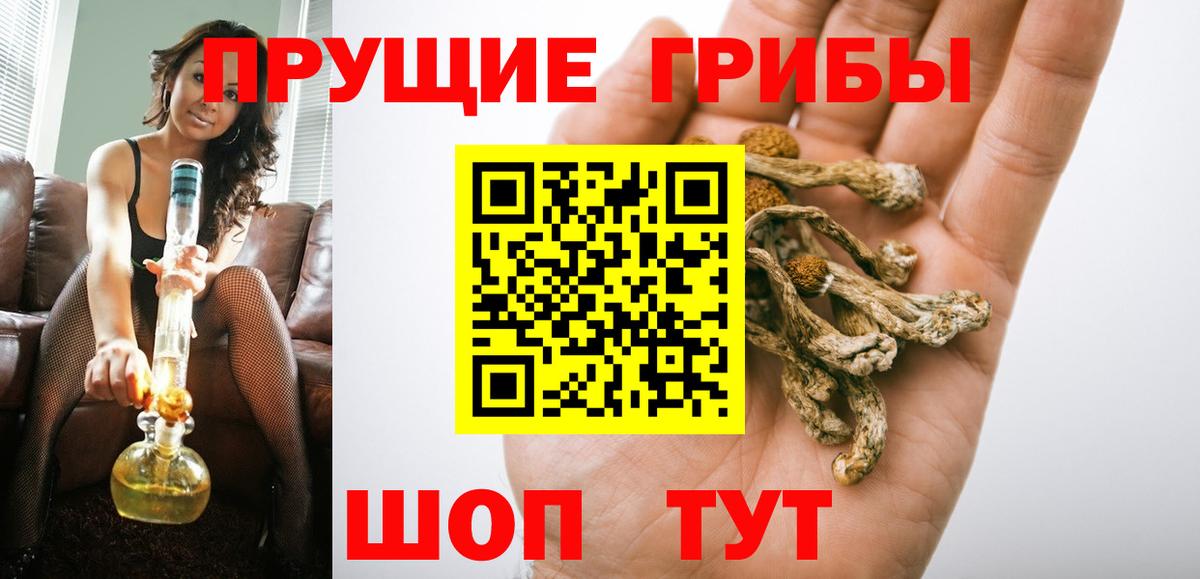Псилоцибиновые грибы ЛСД  Вход с VPN  Сорочинск 